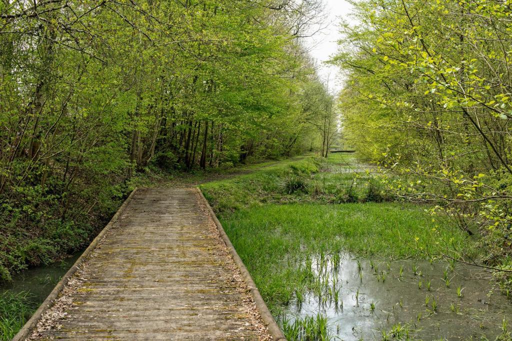 Hotel Entre Nous Rozoy-sur-Serre Exteriér fotografie